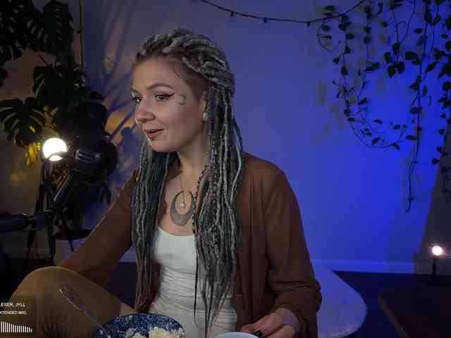 SOVA_tut webcam