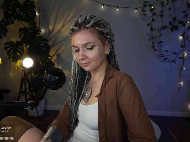 SOVA_tut webcam