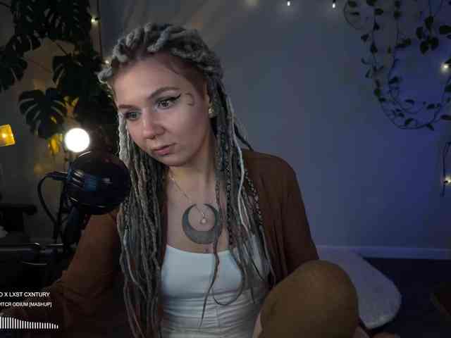 SOVA_tut webcam