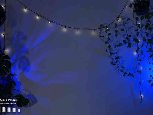 SOVA_tut webcam