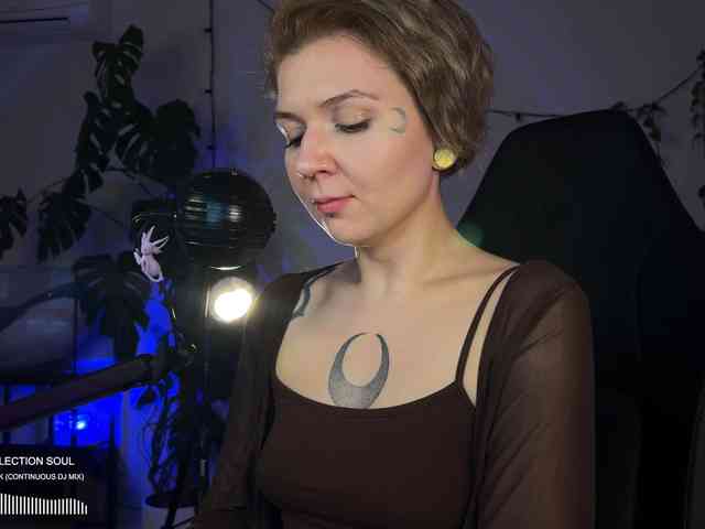 SOVA_tut webcam