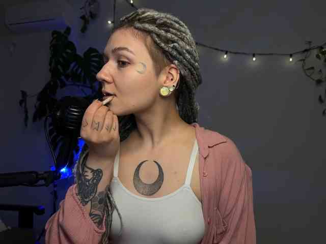 SOVA_tut webcam