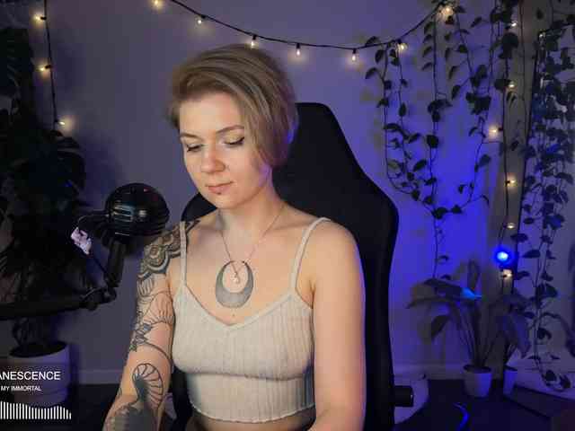 SOVA_tut webcam