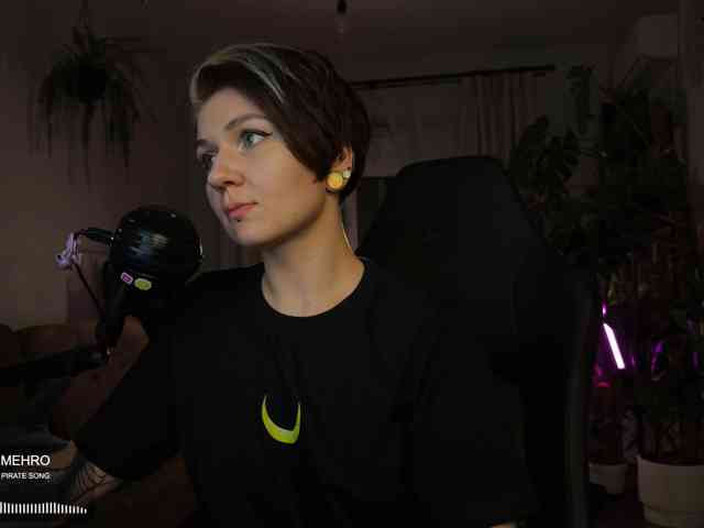 SOVA_tut webcam