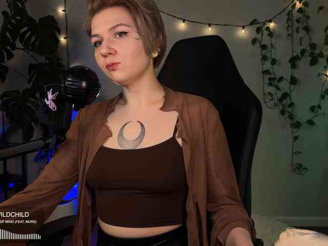 SOVA_tut webcam
