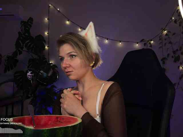SOVA_tut webcam
