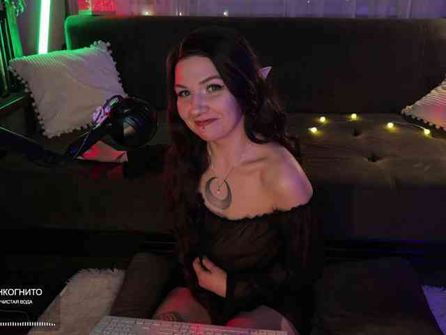 SOVA_tut webcam