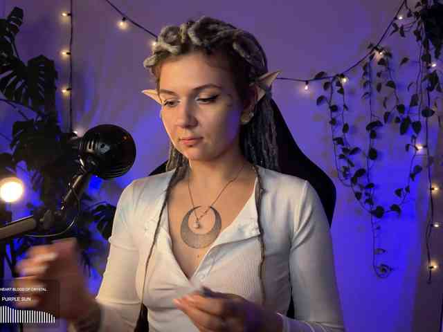 SOVA_tut webcam