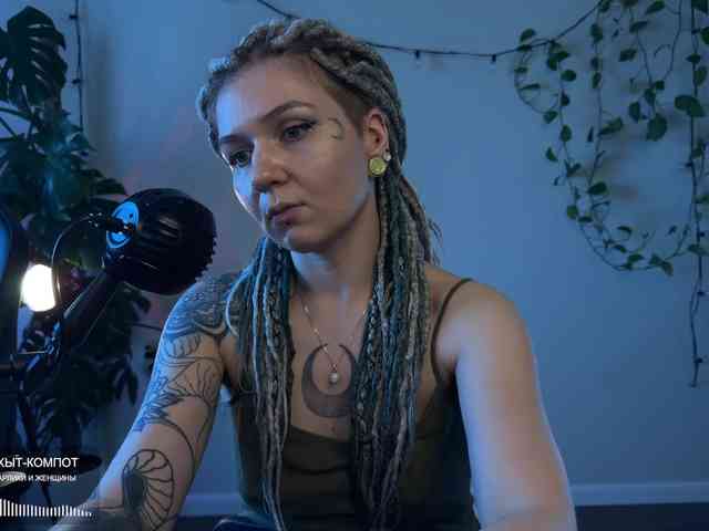 SOVA_tut webcam