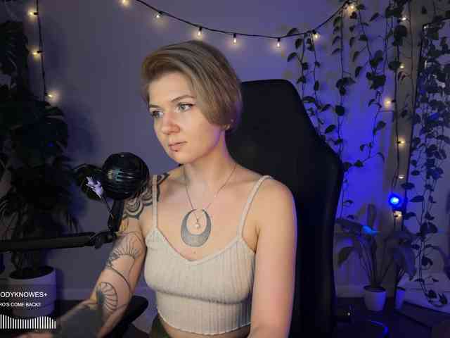 SOVA_tut webcam