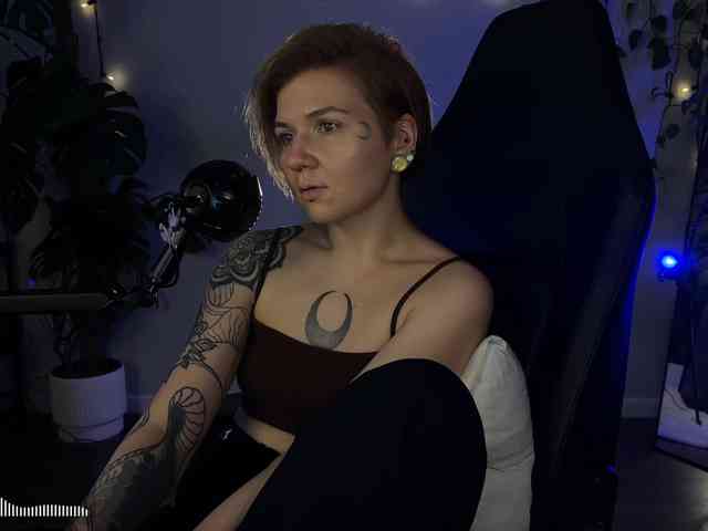 SOVA_tut webcam