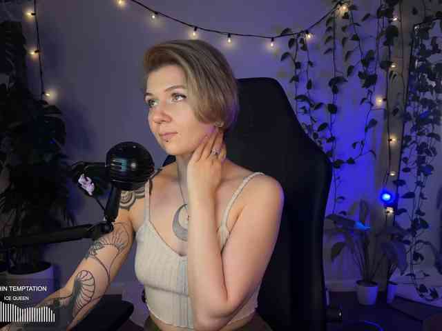SOVA_tut webcam