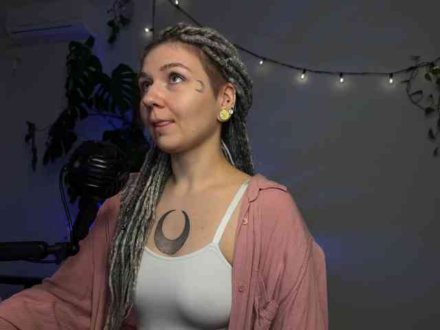SOVA_tut webcam