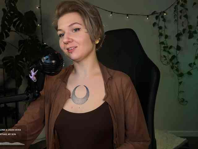 SOVA_tut webcam