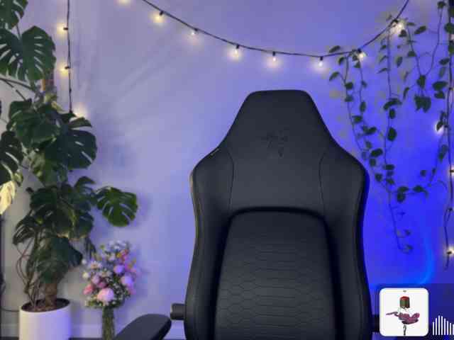 SOVA_tut webcam