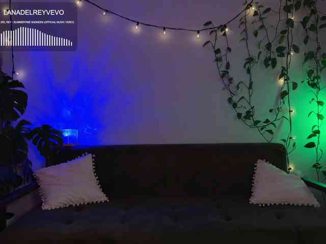 SOVA_tut webcam