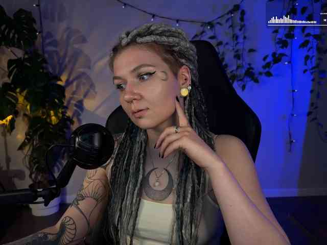 SOVA_tut webcam