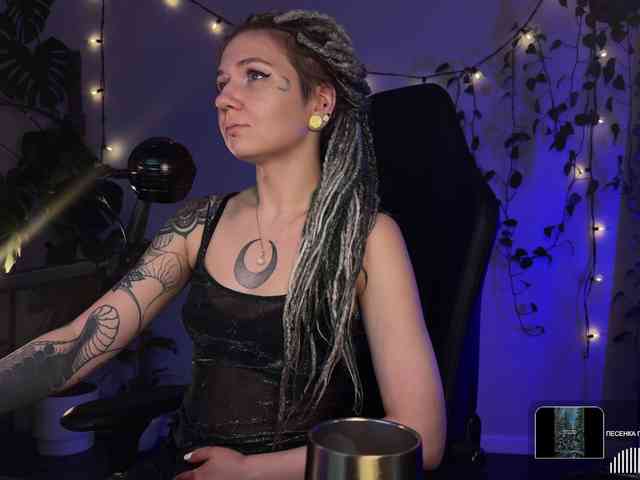 SOVA_tut webcam