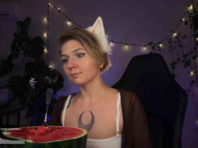 SOVA_tut webcam