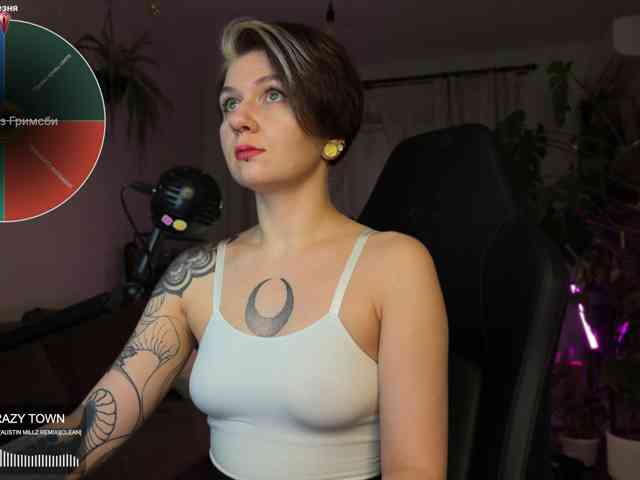 SOVA_tut webcam