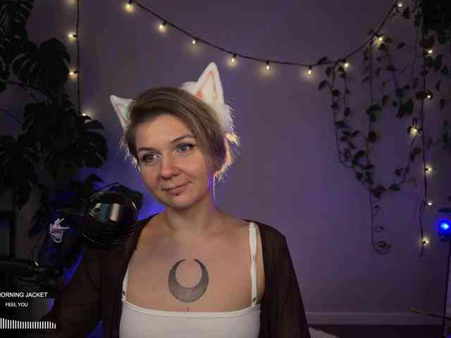SOVA_tut webcam