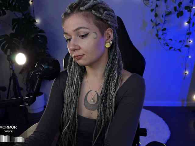 SOVA_tut webcam