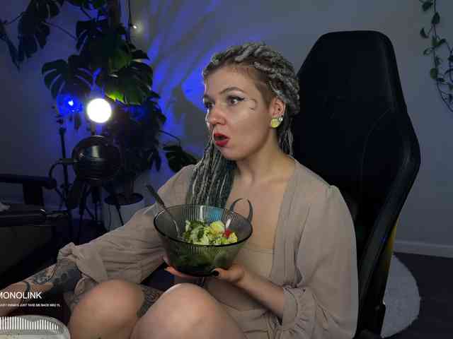 SOVA_tut webcam