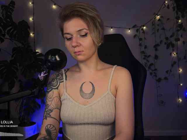 SOVA_tut webcam