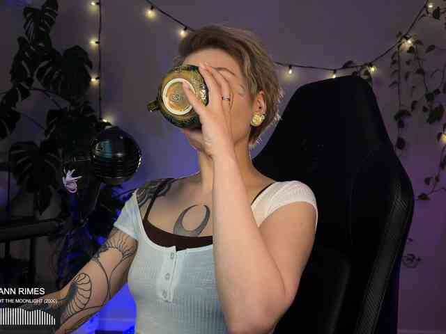 SOVA_tut webcam