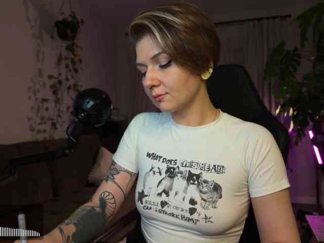 SOVA_tut webcam