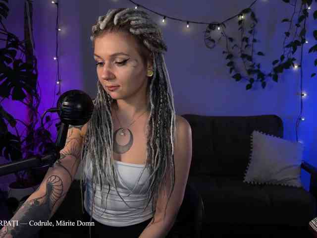 SOVA_tut webcam