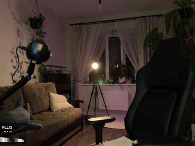 SOVA_tut webcam