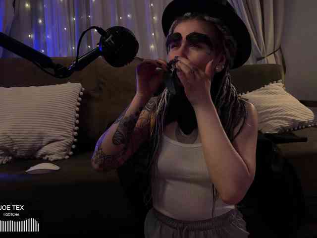 SOVA_tut webcam