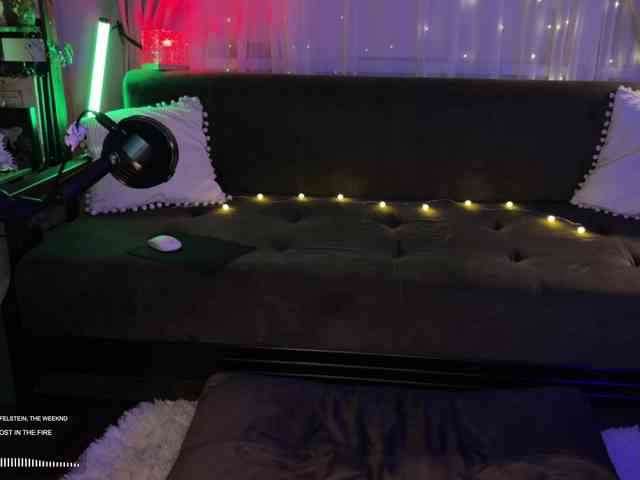 SOVA_tut webcam