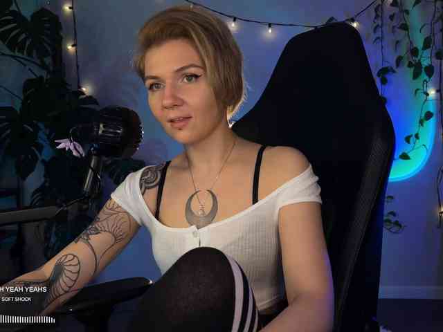 SOVA_tut webcam
