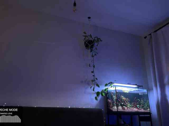 SOVA_tut webcam