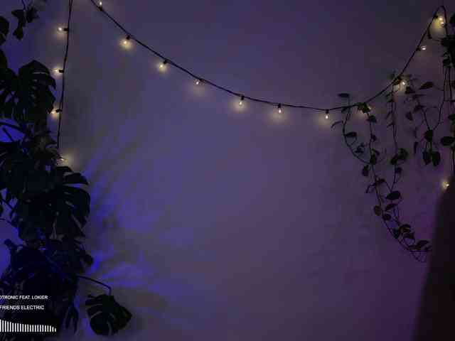 SOVA_tut webcam