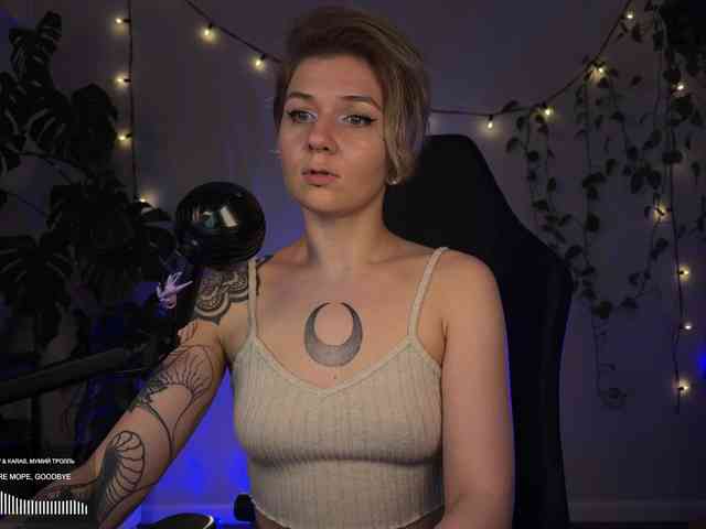 SOVA_tut webcam