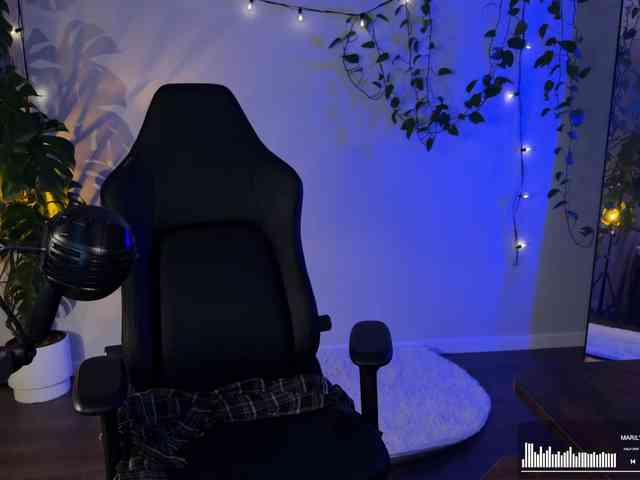 SOVA_tut webcam