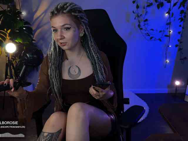 SOVA_tut webcam