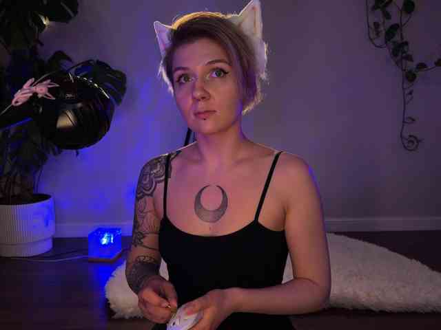 SOVA_tut webcam