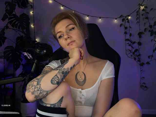 SOVA_tut webcam