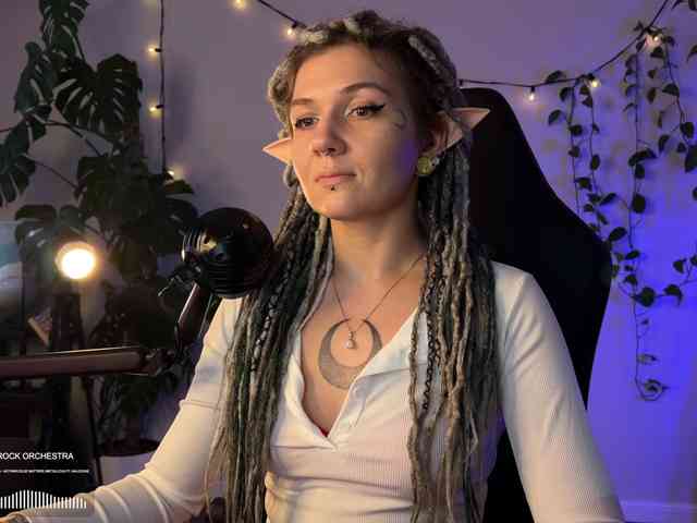 SOVA_tut webcam