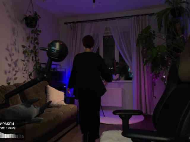 SOVA_tut webcam