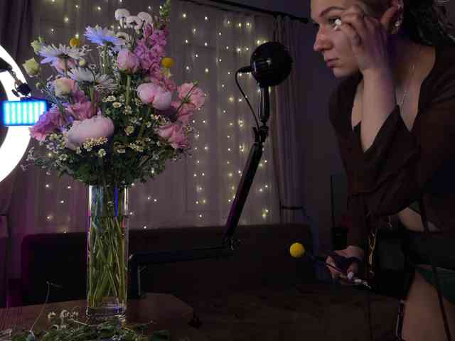 SOVA_tut webcam