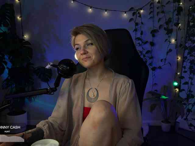 SOVA_tut webcam