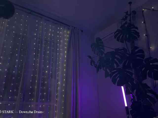 SOVA_tut webcam