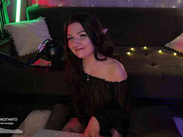 SOVA_tut webcam