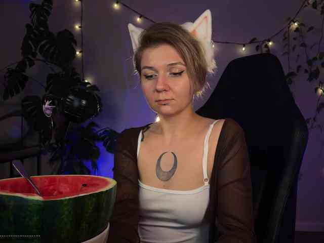 SOVA_tut webcam