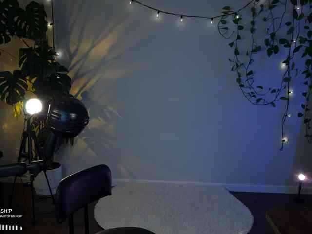 SOVA_tut webcam